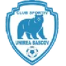 Logo Unirea Bascov