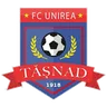 Logo Unirea Tășnad