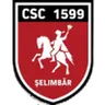 Logo Viitorul Şelimbăr