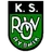 Logo ROW Rybnik