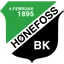 Logo Hønefoss