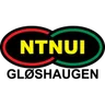 Logo NTNUI