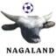 Logo Nagaland