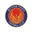 Logo Witham Town