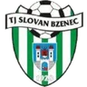 Logo Bzenec