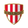 Logo Sokol Brozany