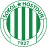 Logo Sokol Hostouň