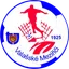 Logo Valašské Meziříčí