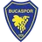 Logo Bucaspor 1928