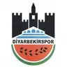 Logo Diyarbekirspor