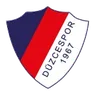 Logo Düzcespor