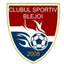 Logo Blejoi