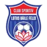Logo Sânmartin