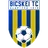 Logo Bicskei
