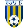 Logo Bicskei