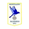 Logo Abertillery Bluebirds
