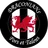 Logo Cardiff Draconians