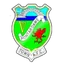 Logo Pontardawe Town