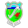 Logo Pontardawe Town