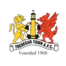 Logo Tredegar Town