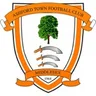 Logo Ashford Town (Middlesex)