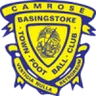 Logo Basingstoke Town