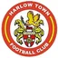 Logo Harlow Town