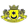 Logo Moneyfields