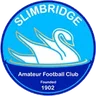 Logo Slimbridge