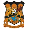 Logo Three Bridges
