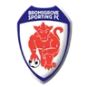 Logo Bromsgrove Sporting