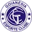 Logo Goianésia