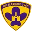 Logo Maribor U19
