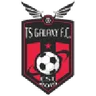 Logo TS Galaxy