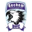 Logo Bechem United