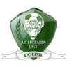 Logo Léopards de Dolisié
