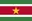 Logo Suriname