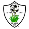Logo Brazil Juniors