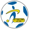 Logo Golling
