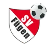 Logo Fügen