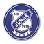 Logo Junak
