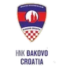 Logo Dakovo-Croatia