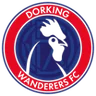 Logo Dorking Wanderers