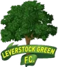 Logo Leverstock Green
