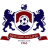 Logo Newton Aycliffe