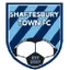 Logo Shaftesbury Town