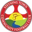 Logo Steyning Town
