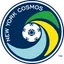 Logo NY Cosmos