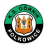 Logo Górnik Polkowice