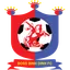 Logo Bình Định